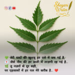 InShot_20250802_225441123