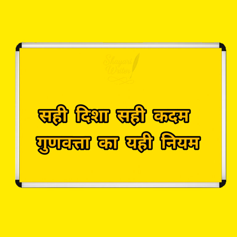 InShot_20250805_163819567