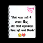 InShot_20250910_224955852